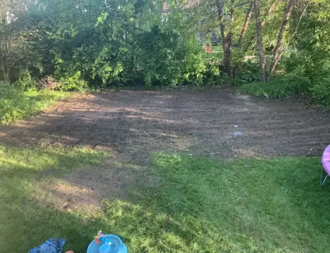 After: cleared and opened landscape area ready for grass