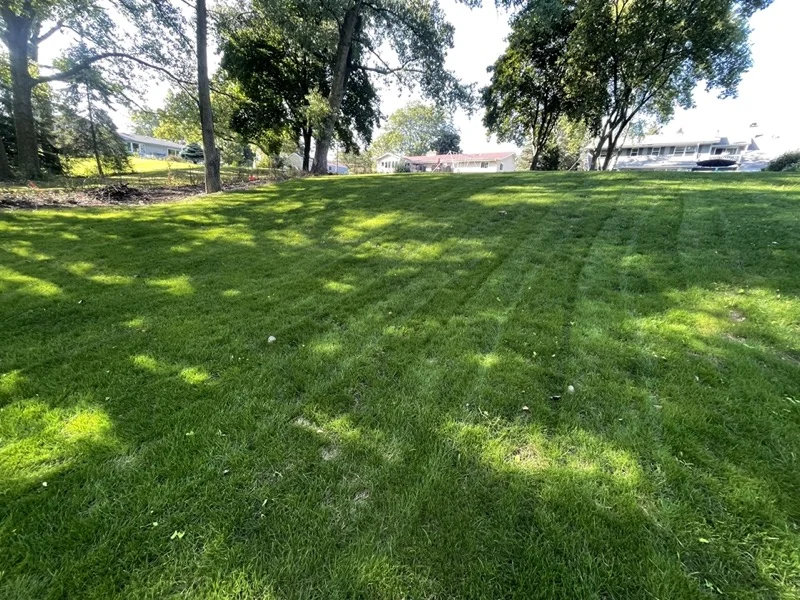Freshly installed lawn grass in Wisconsin