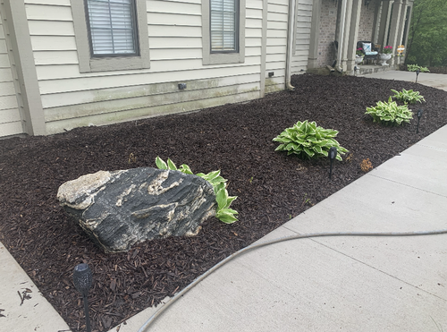 Fresh mulch bed with clean edging