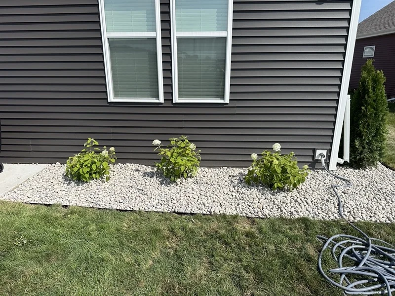 Hardy perennial flowers in a Wisconsin landscape bed